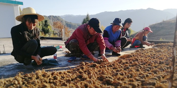 夏季中药材养生，牢记这五条